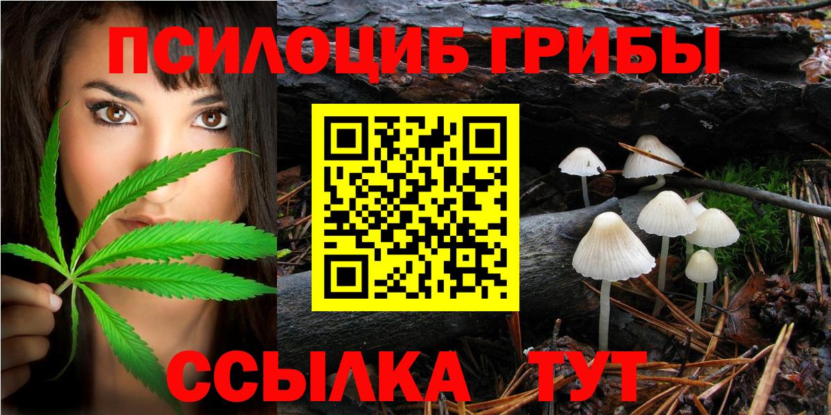 Шарыпово  Галлюциногенные грибы мухоморы  Вход с VPN 