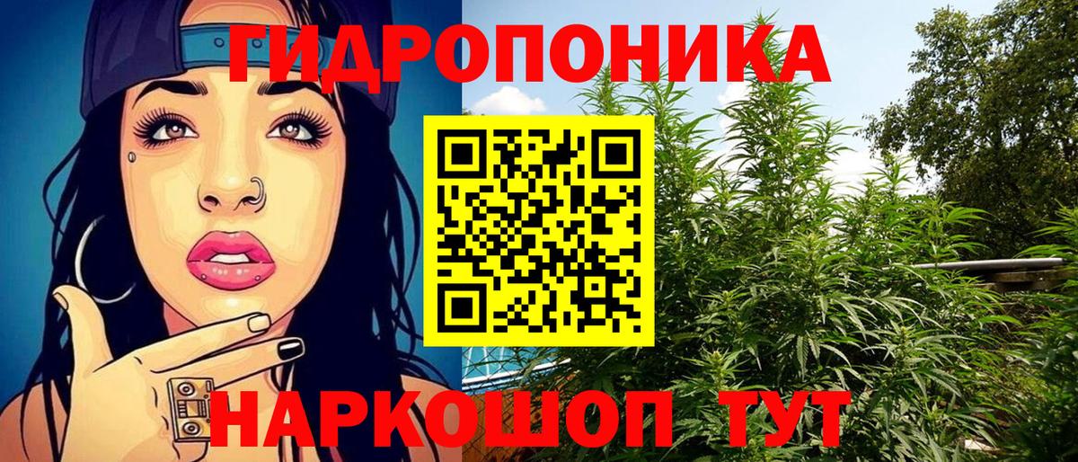 Марихуана сатива  Вход с VPN  Канабис семена  Шишки марихуана конопля  МАРИХУАНА тримм  Шарыпово 